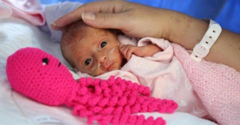 Los médicos recomiendan tejer pulpos para los bebés prematuros ingresados en el hospital