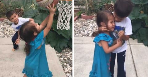 Un niño reacciona cuando su hermanita es golpeada por la pelota emocionando al mundo