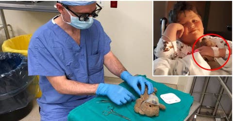 Un médico opera al oso de peluche de su paciente para ofrecerle consuelo