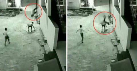 Un niño logra sobrevivir tras precipitarse desde un tercer piso