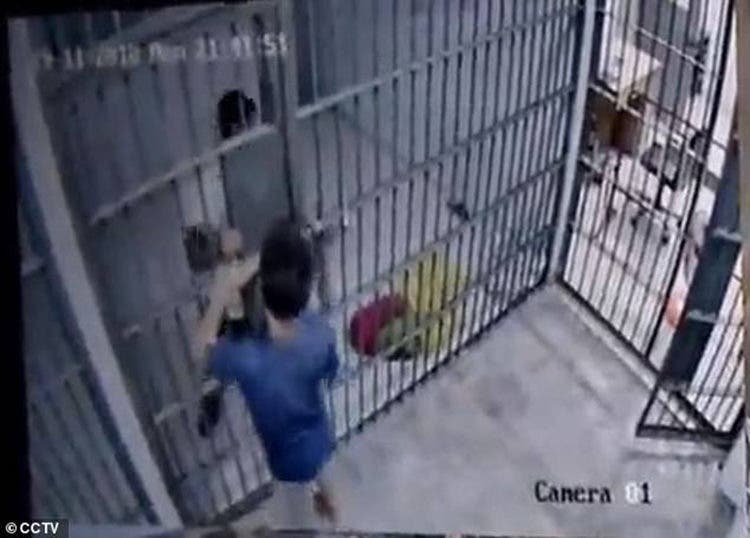 Prisionero Tailandia