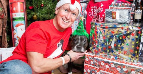 Gasta más de 6000 dólares en regalos de Navidad para su mascota