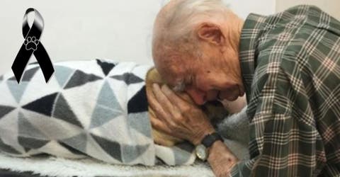 Un anciano de 96 años se aferra a su perro fallecido tras la reciente muerte de su esposa