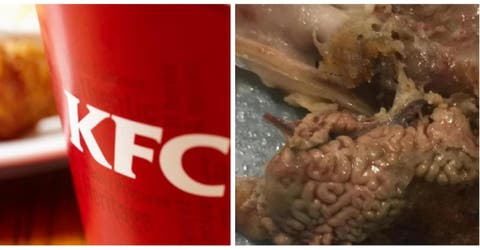 Una joven horrorizada encuentra un «cerebro» en su pollo de KFC