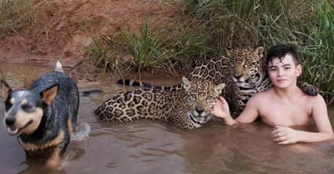 Los padres de un niño de 12 años permiten que se bañe con jaguares
