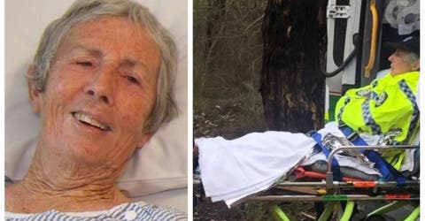 Una anciana de 84 años sobrevive en condiciones extremas tras 3 días desparecida en un bosque