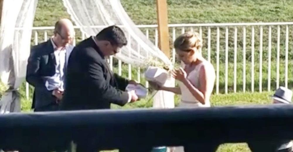 Una foto de la boda revela la ardua lucha de la novia por sobrevivir y deja a todos conmovidos Una foto de la boda revela la ardua lucha de la novia por sobrevivir y deja a todos conmovidos