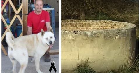 Hallan el cuerpo sin vida de un hombre de 45 años en un pozo de Málaga junto a su perro