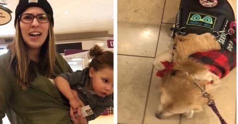 Una mujer increpa a la dueña de un perro de servicio porque se negó a que su hija lo tocara