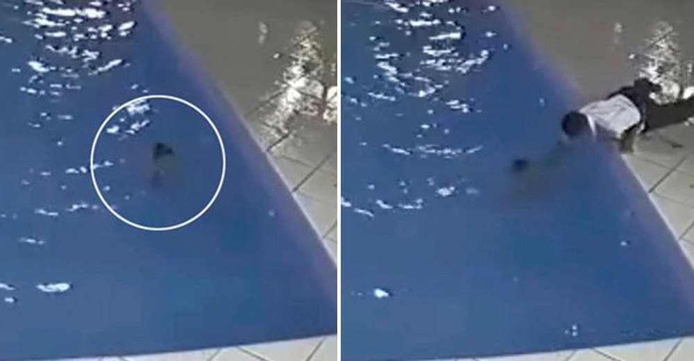 Las cámaras de seguridad graban cómo el portero salva a un niño de 3 años que se ahogaba Las cámaras de seguridad graban cómo el portero salva a un niño de 3 años que se ahogaba