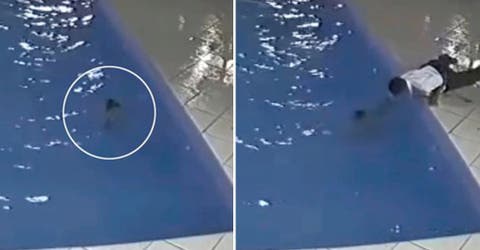 Las cámaras de seguridad graban cómo el portero salva a un niño de 3 años que se ahogaba