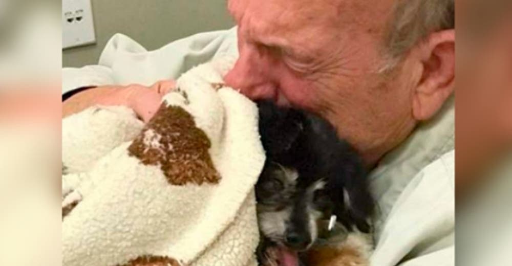 Un abuelito abraza al perro que ha sido su compañero durante 16 años para agradecerle su amor