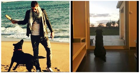 La triste historia de la perrita del futbolista Emiliano Sala que sigue esperando su regreso