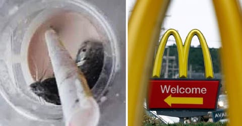 Demanda a McDonald’s por 100 mil dólares tras encontrar un ratón vivo en su bebida