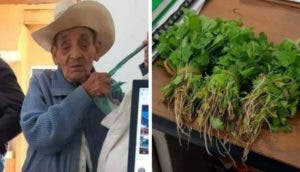 Abuelito de 80 años sin dinero intenta pagar con cilantro su trámite en el registro