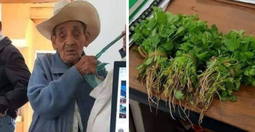 Abuelito de 80 años sin dinero intenta pagar con cilantro su trámite en el registro