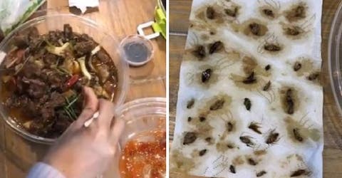 Encuentra decenas de cucarachas en la comida que pidió a domicilio para cenar con sus amigos