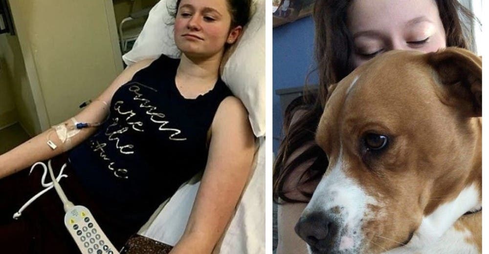 Una perrita de servicio le devuelve la esperanza a una adolescente alérgica a los olores intensos