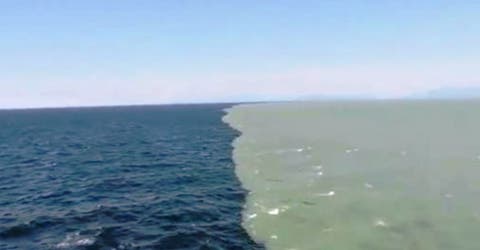 Sale a la luz la verdad sobre el vídeo viral de los dos «océanos» que se juntan sin mezclarse