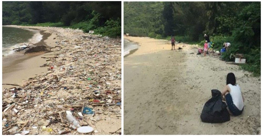 «Trashtag Challenge», el reto viral que está haciendo que la gente limpie el planeta de verdad