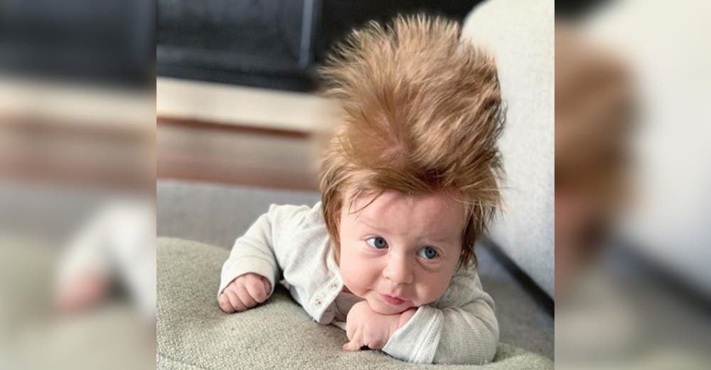 Boston, el bebé de cabello tan asombroso que nadie puede evitar detener a su mamá en la calle Boston, el bebé de cabello tan asombroso que nadie puede evitar detener a su mamá en la calle
