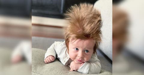 Boston, el bebé de cabello tan asombroso que nadie puede evitar detener a su mamá en la calle