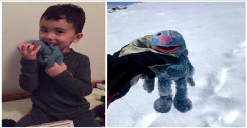 Un niño de 4 años logra recuperar su peluche favorito tras perderlo en la cima de una montaña