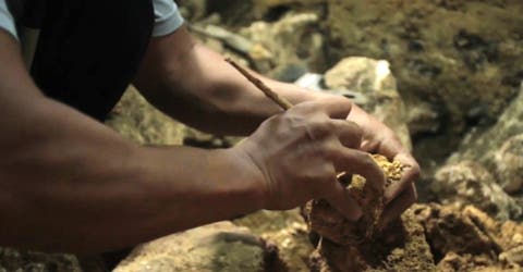 Hallan restos de huesos y piezas dentales pertenecientes a una nueva especie humana