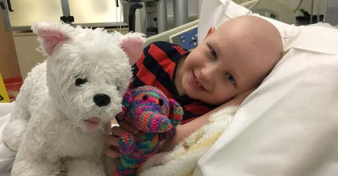 Un cordón umbilical donado le devuelve la esperanza a un niño de 4 años enfermo terminal