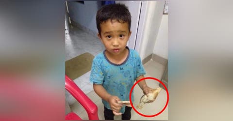 Un niño de 6 años atropella por accidente a un pollito y lo lleva al hospital con todo su dinero