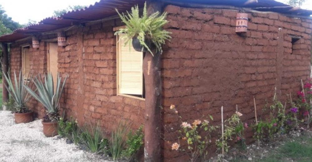 Usa las algas que invaden la playa para construir económicas casas ecológicas