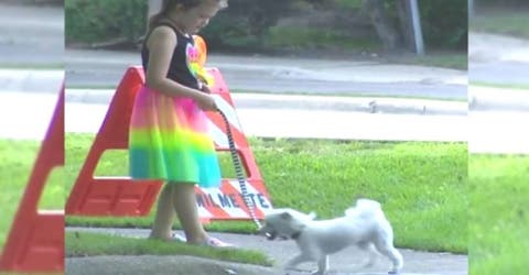 Los vecinos alertan a las autoridades al ver a una niña de 8 años pasear sola con su perrito