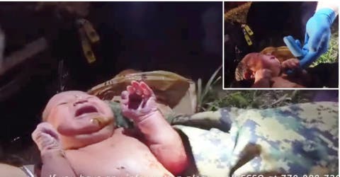 Bebé recién nacida dejada a su suerte en un bosque es rescatada gracias a su llanto desesperado