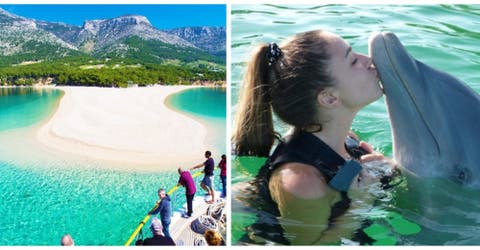 Una empresa ofrece vacaciones de lujo pagadas a cambio de cuidar a delfines en Croacia