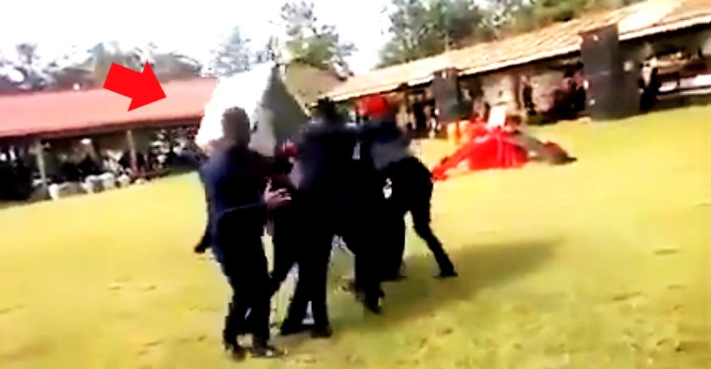 El dramático momento en el que bailan con el ataúd sobre sus hombros y se cae el difunto El dramático momento en el que bailan con el ataúd sobre sus hombros y se cae el difunto