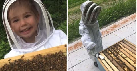 El impresionante caso del niño de 3 años que se convirtió en el apicultor más pequeño del mundo