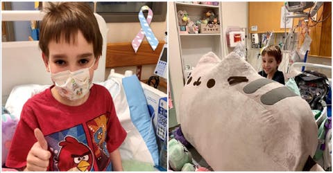 Tras esperar un donante fallece Noah, el niño que sorprendieron con su propio muñeco de Pusheen