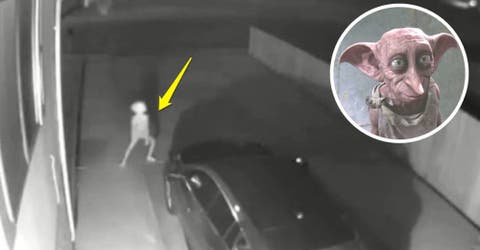 La cámara de seguridad capta a una criatura idéntica a Dobby, el elfo de Harry Potter