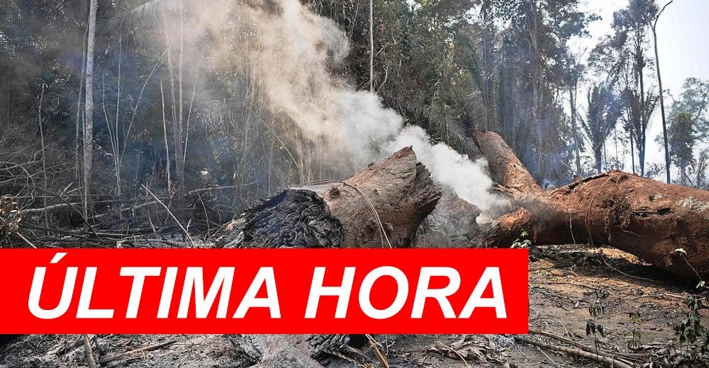 Aparecen las primeras imágenes de la selva amazónica devastada por los incendios