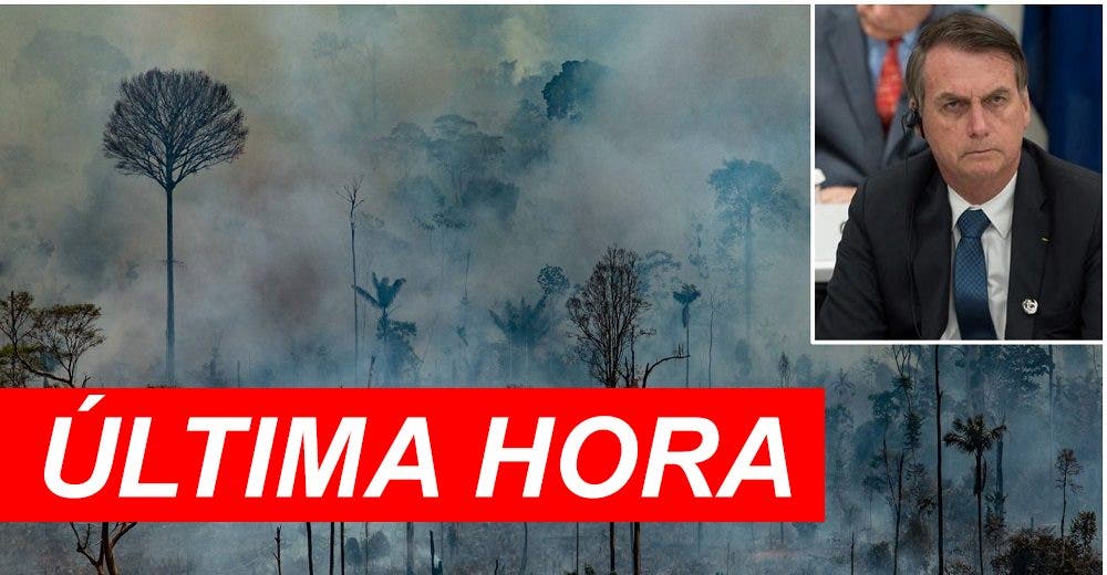 El presidente de Brasil rechaza la ayuda del G7 para combatir los incendios del Amazonas El presidente de Brasil rechaza la ayuda del G7 para combatir los incendios del Amazonas