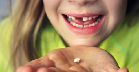 Un estudio advierte a los padres la importancia de guardar los dientes de leche de los niños
