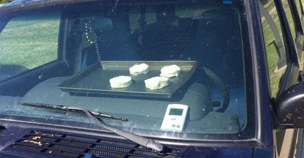 Hornean galletas en el interior de un auto para demostrar el peligro de las altas temperaturas