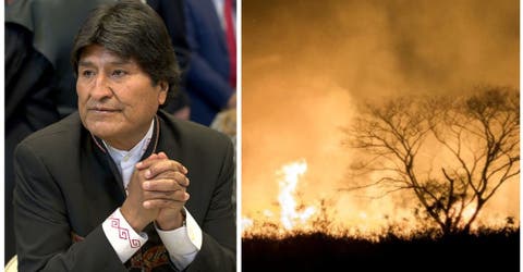 Un millón de hectáreas se consume por las llamas y el presidente no declara emergencia nacional