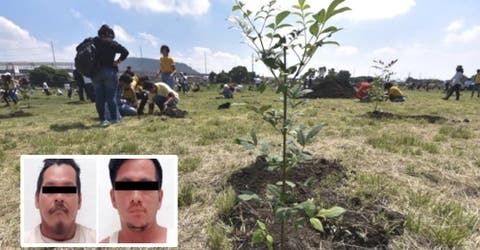 Por primera vez, 2 hombres reciben el castigo de sembrar 3 mil árboles por cometer un ecocidio