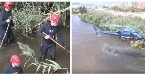 Los padres del bebé lanzado al río mantuvieron en secreto el embarazo – “No lo queríamos”