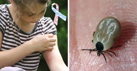 Una niña de 10 años pierde la vida por la picadura de una garrapata mientras jugaba en su casa