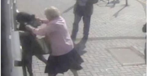 Una anciana se defiende cuando una mujer embarazada intenta robarle sus ahorros en la calle
