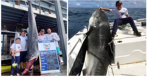 A los 8 años rompe un récord mundial por pescar a un enorme tiburón de 314 kilos