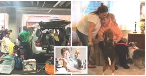 A los 70 años pierde su casa y se queda viviendo en su auto junto a sus 2 perritos