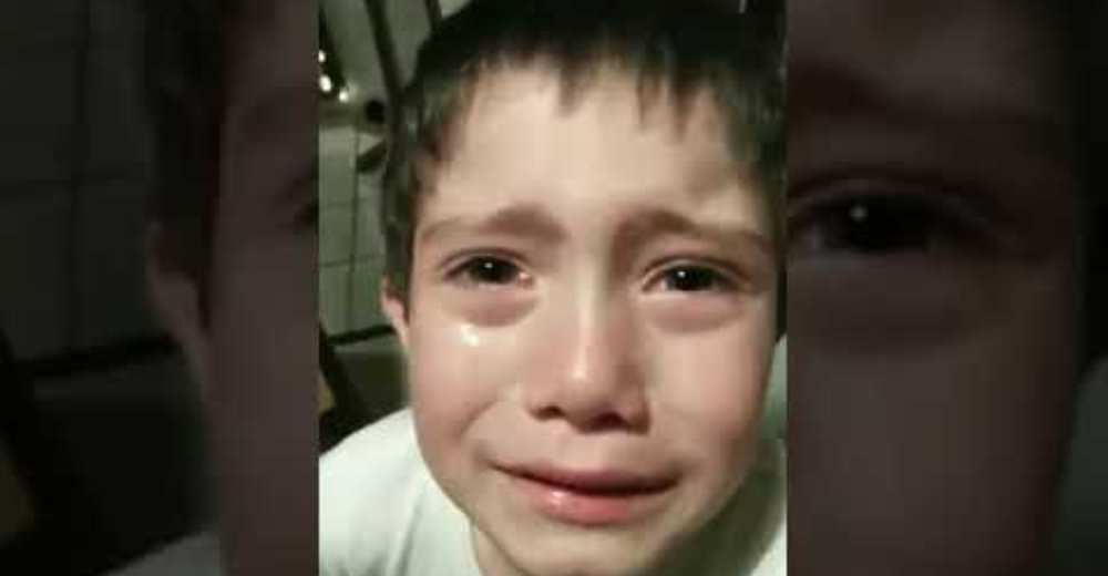 «¿Y si tenía una familia?» – Llora desconsolado después de acabar con la vida de una hormiga «¿Y si tenía una familia?» – Llora desconsolado después de acabar con la vida de una hormiga
